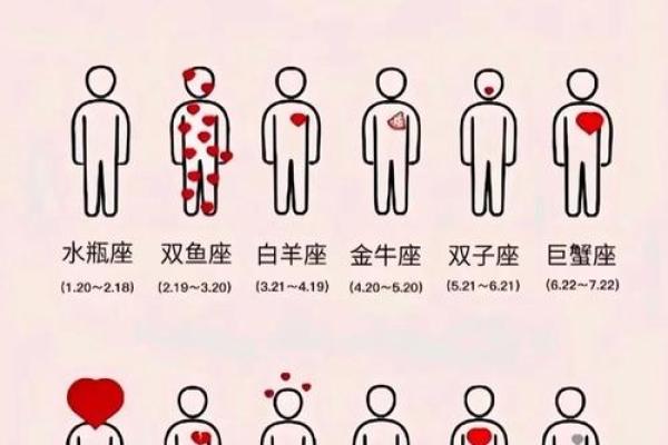 2026年星座实用榜:谁的方法最有效? 2026年星座实用榜:谁的方法最有效?