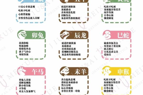 十子之上四中金是什么生肖 十子四中金生肖查询方法 十子之上四中金是什么生肖 十子四中金生肖查询方法