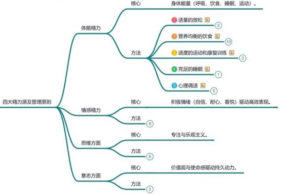 2026年能量管理:年轻人如何保持精力 2026年能量管理:年轻人如何保持精力