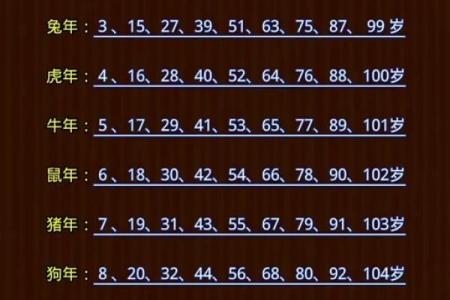 2026年十二生肖流年总结：全年回顾