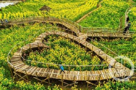 香风十里珠帘卷是什么生肖 香风十里珠帘卷打一生肖