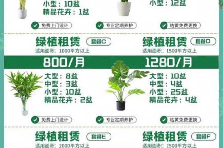 2026年搞钱绿植指南：养这个品种客户喜欢