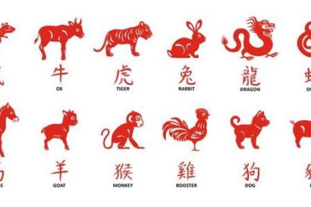 “金屋藏娇”打一个生肖动物 金屋藏娇指什么生肖动物