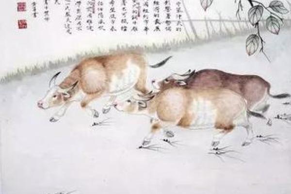 六神无主打一动物 六神无主指什么生肖 六神无主打一动物 六神无主指什么生肖