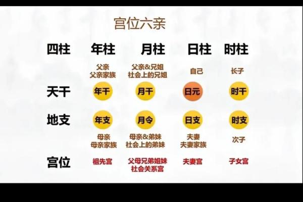 八字看2026年健康预警：哪些部位要当心？
