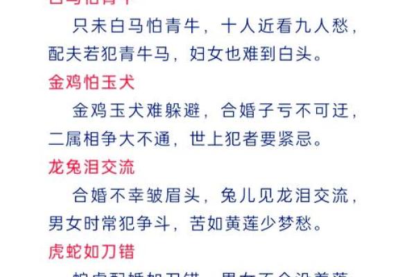 豺狼当道是什么生肖 豺狼当道打一生肖答案 豺狼当道是什么生肖 豺狼当道打一生肖答案