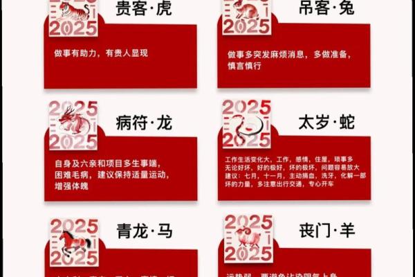 2026年十二生肖流年健康：疫情预测