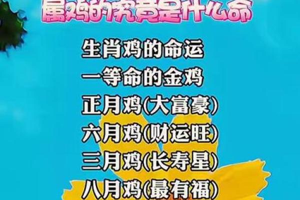 2026年财运测试：你的财富增长速度