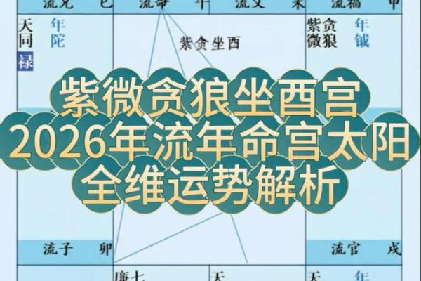 2026年十二生肖流年紫微：命盘解析