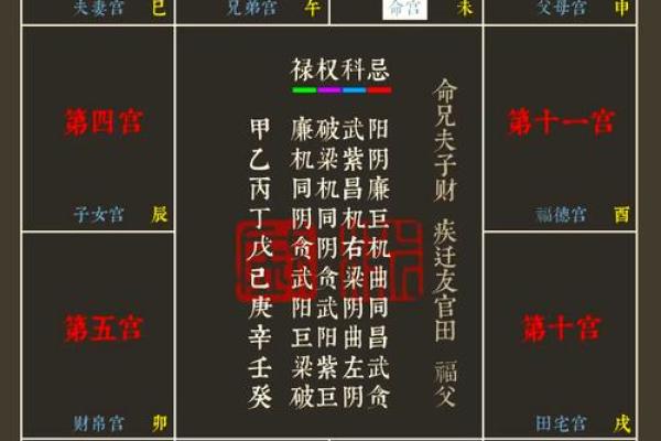 2026年十二生肖流年紫微：命盘解析