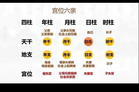 八字看2026年健康预警：哪些部位要当心？