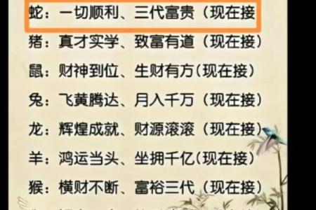 豺狼当道是什么生肖 豺狼当道打一生肖答案