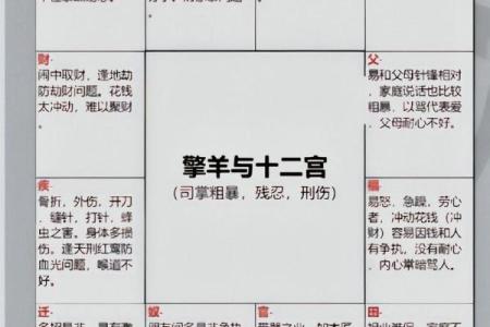 2026年八字流年命盘：紫微斗数详细解读！