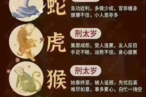害太岁防骗指南：2026年属猴人必设3道防线