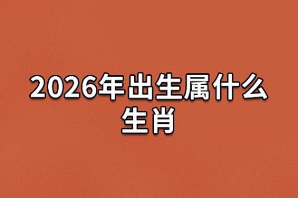 2026年属马人流年健康：体检计划