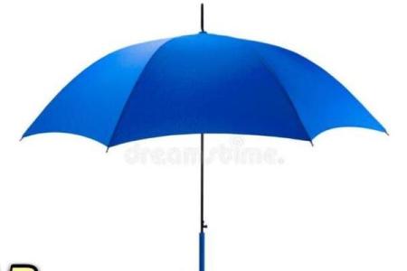 2026年搞钱雨伞指南：用这个颜色遇贵人