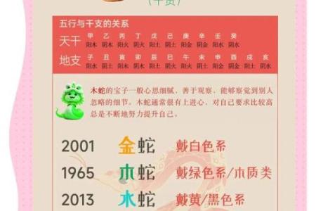 2026年属蛇人流年学习：知识地图