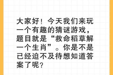 蒙头转向是什么生肖 蒙头转向打一生肖答案