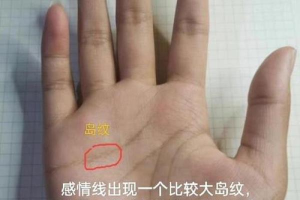 手相揭秘：春节前看看你的二婚几率