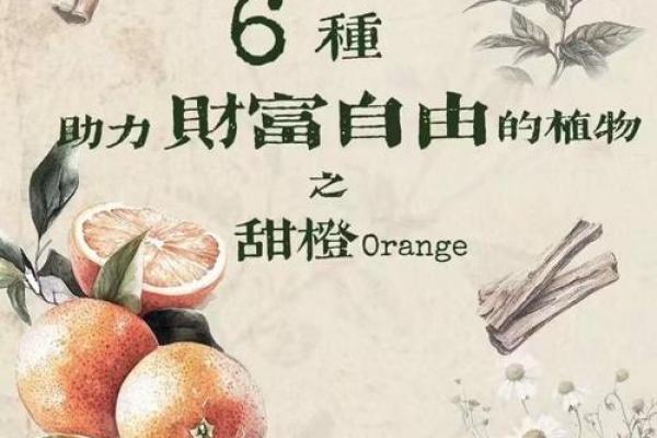 2026年招财精油：用这个吸引财富