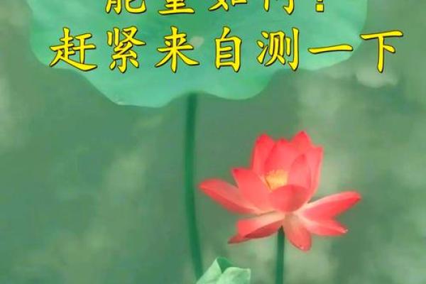 2026年搞钱咒语:每天念3遍吸引财富能量 2026年搞钱咒语:每天念3遍吸引财富能量