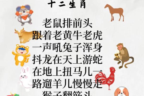 无所不知是什么生肖 十二生肖中哪个最聪明