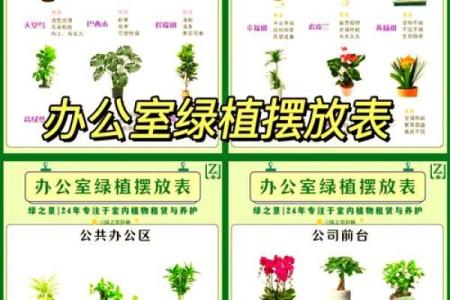 植物风水指南：2026年品种