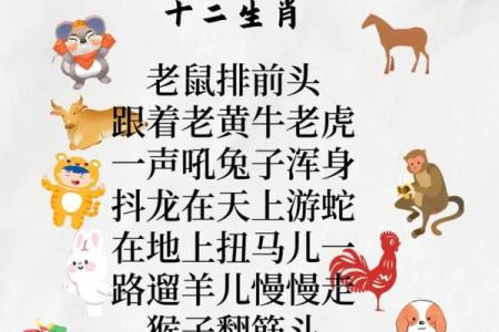 无所不知是什么生肖 十二生肖中哪个最聪明