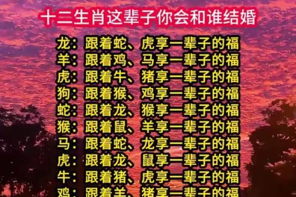 2026年最适合结婚的3个生肖:选对日子更幸福 2026年最适合结婚的3个生肖:选对日子更幸福
