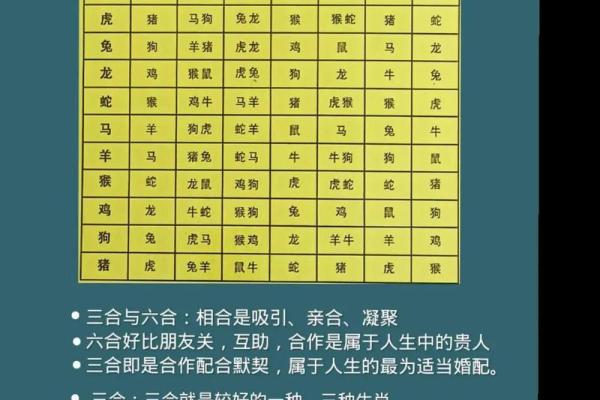 逍遥法外代表什么生肖 逍遥法外打一生肖