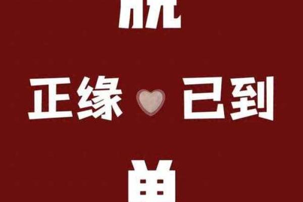 2026年正缘家庭背景：你的TA是独生子吗？