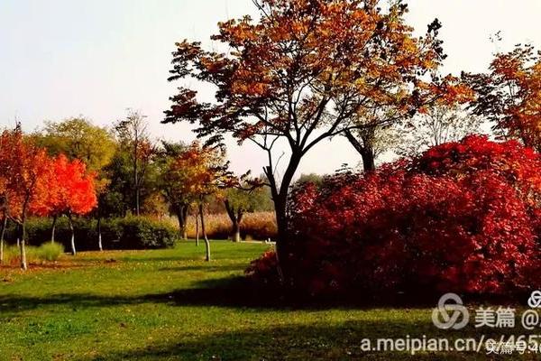 望秋先零打一动物 望秋先零指什么动物 望秋先零打一动物 望秋先零指什么动物