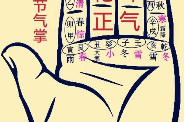 脾胃健康风水阵：2026年中央土位调理