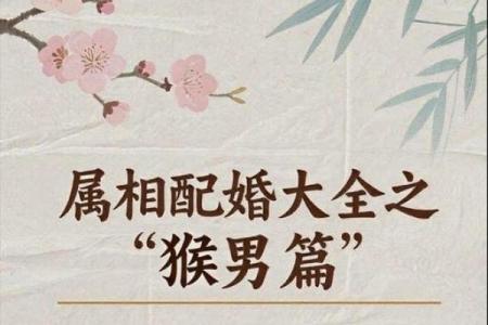 逍遥法外代表什么生肖 逍遥法外打一生肖