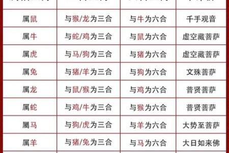 2026年财运最旺的5个血型生肖组合