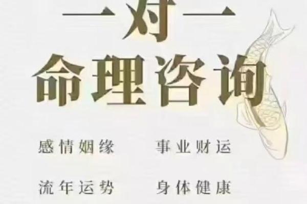 命理分析：2026年最适合电商创业的3个八字