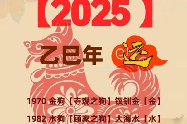 2026年属狗人每月运势指南：投资黄金期