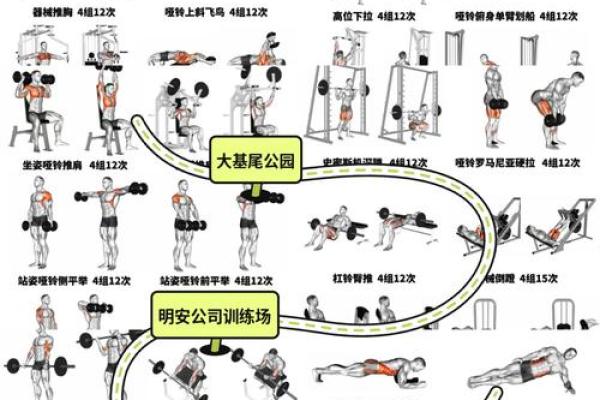 2026年属猴人适合的健身：运动方式