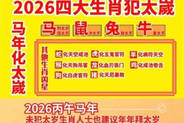 破太岁理财方案：2026年属猪人资金保管法