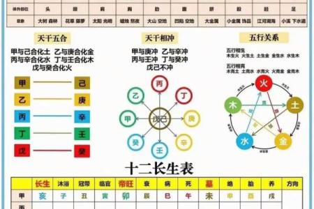 八字日主根气分析：稳固运势！