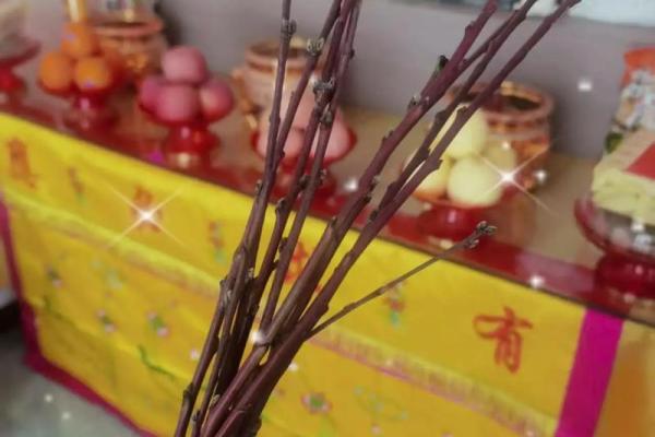 风水布局:春节前这样布置客厅招正桃花 风水布局:春节前这样布置客厅招正桃花