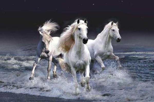 2026年最可能遇商业间谍的3个生肖 2026年最可能遇商业间谍的3个生肖