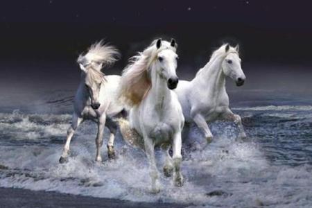 2026年最可能遇商业间谍的3个生肖