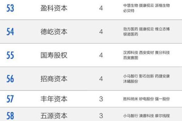 2026年最佳IPO投资分析:命理与企业 2026年最佳IPO投资分析:命理与企业
