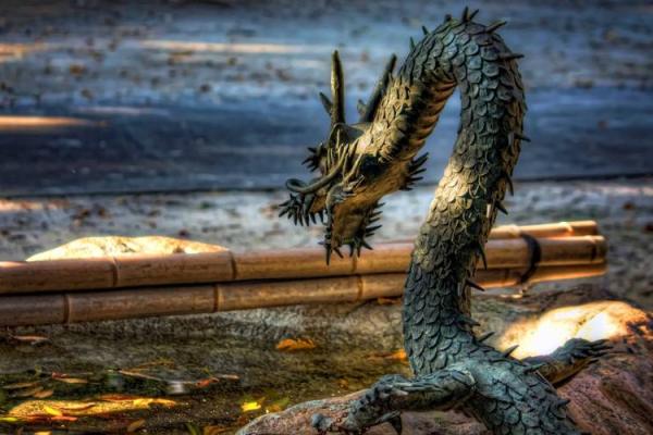 2026年财运风水禁忌：这些颜色千万别多用