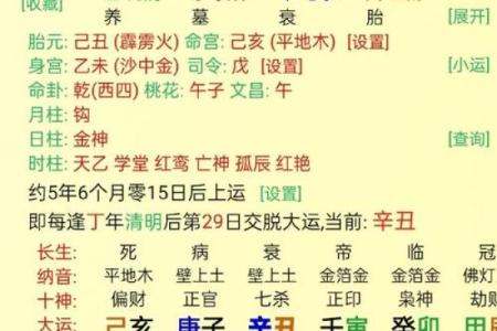 命理分析：2026年最适合内容创业的5个八字