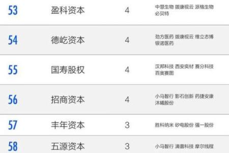 2026年最佳IPO投资分析：命理与企业