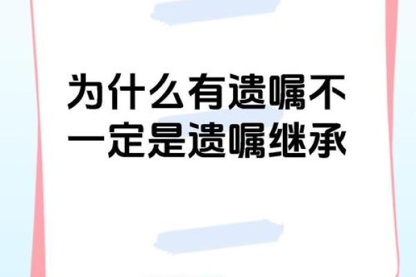 2026年遗产继承：遗嘱存放