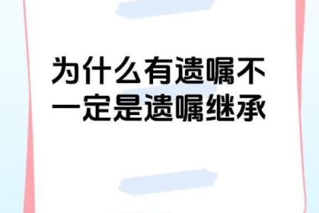 2026年遗产继承：遗嘱存放