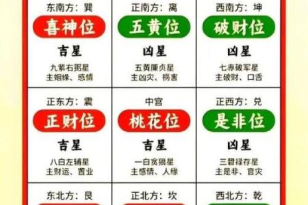 2026年十二生肖二黑位：疾病星化解法